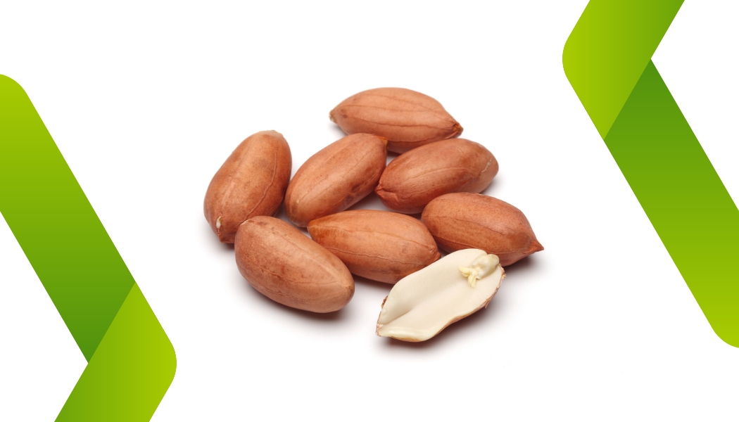 بادام زمینی