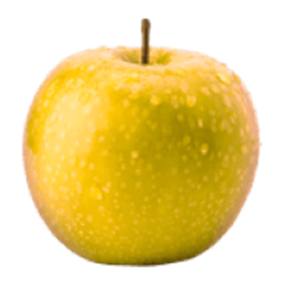 sib7